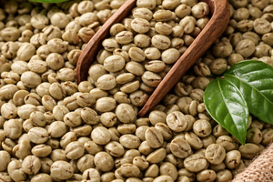 Що таке зелена кава і чому вона стала такою популярною? фото